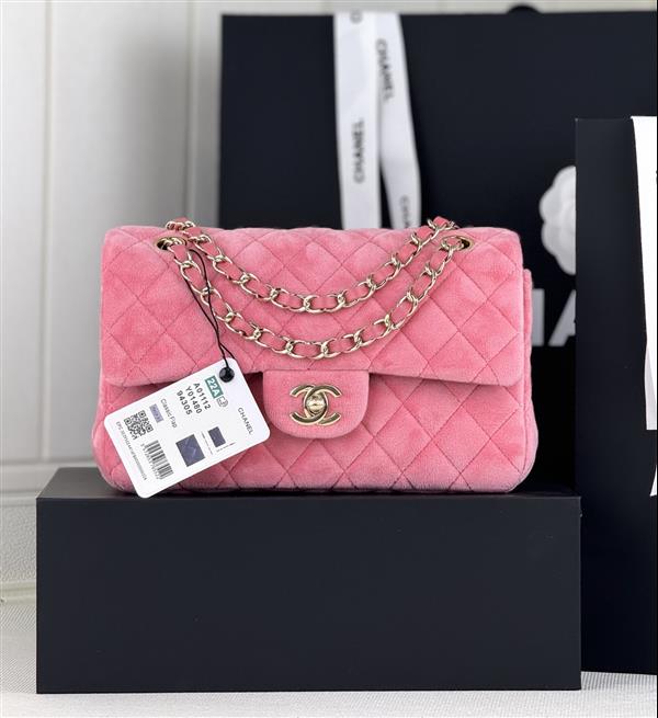 2026127205939801 600